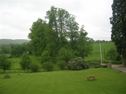 view from four poster room